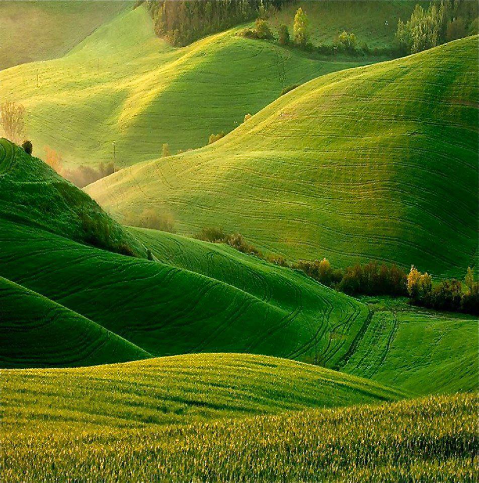 952x960, 208 Kb / холмы, зелень, трава, деревья, Тоскана