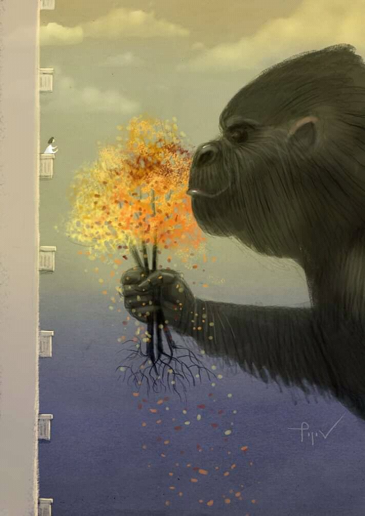 712x1007, 78 Kb / балкон, цветы, дерево, подарок, обезьяна, кинг конг, горилла