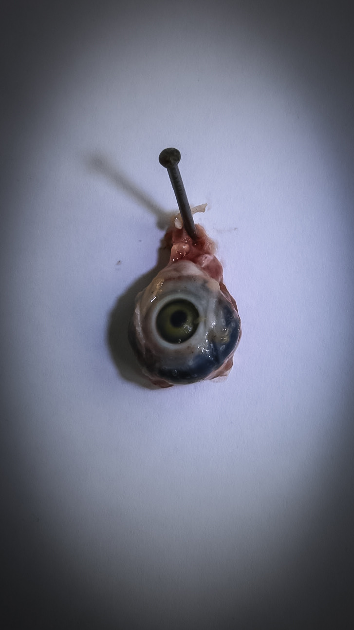 727x1293, 122 Kb / глаз, гвоздь, концептуализм