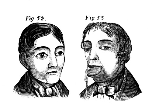 500x371, 49 Kb / рисунок, дрочка, эффект, слюни, тексты