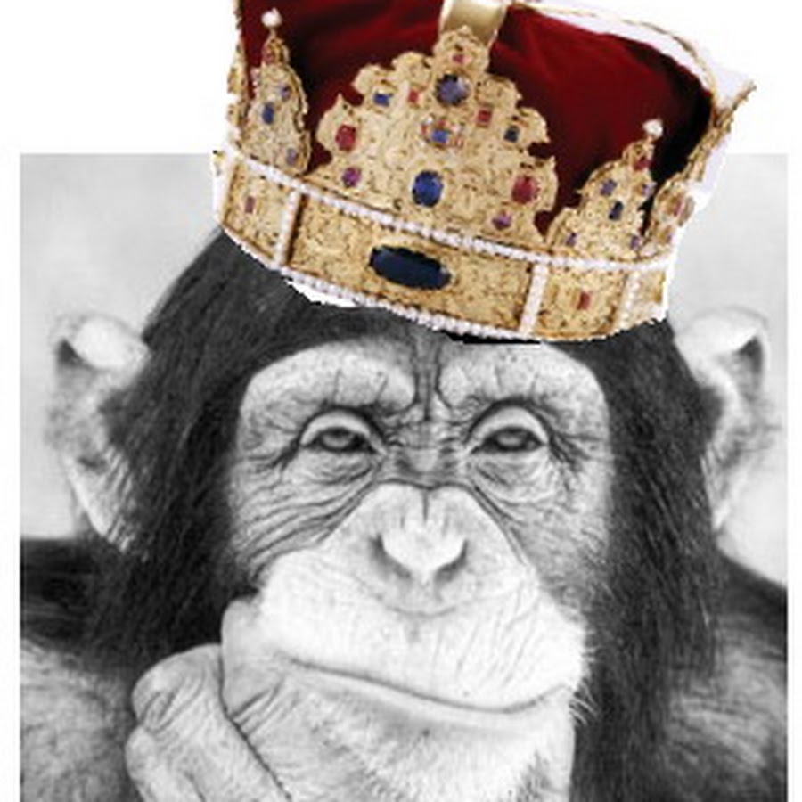 900x900, 95 Kb / корона, обезьяна