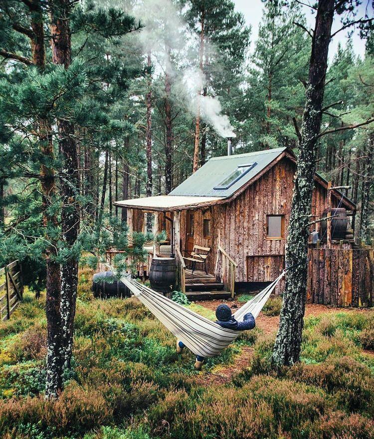 750x879, 238 Kb / лес, дом, гамак, кедр, бочка, забор, доска, шиндель