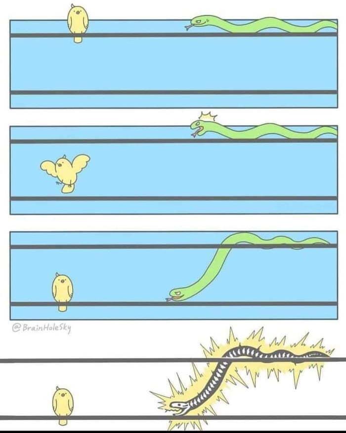 700x875, 46 Kb / Провода, птица, змея