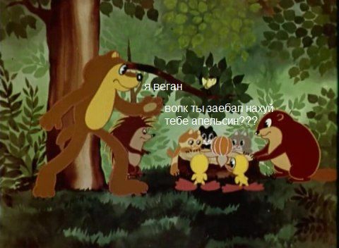 480x352, 43 Kb / волк, веган, апельсин