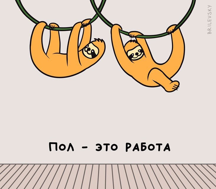 732x640, 58 Kb / пол, работа, ленивцы