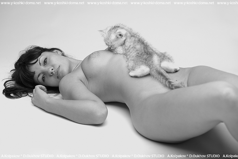 800x534, 145 Kb / котенок, ч/б