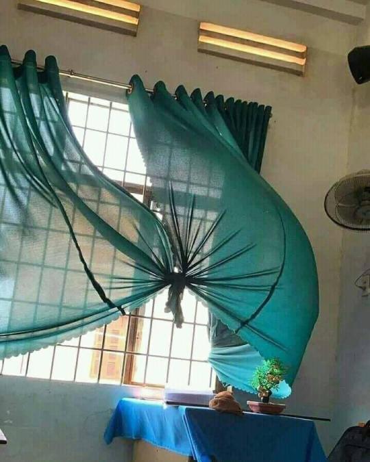 540x675, 51 Kb / ветер, окно, занавески, узел, топик, показалось