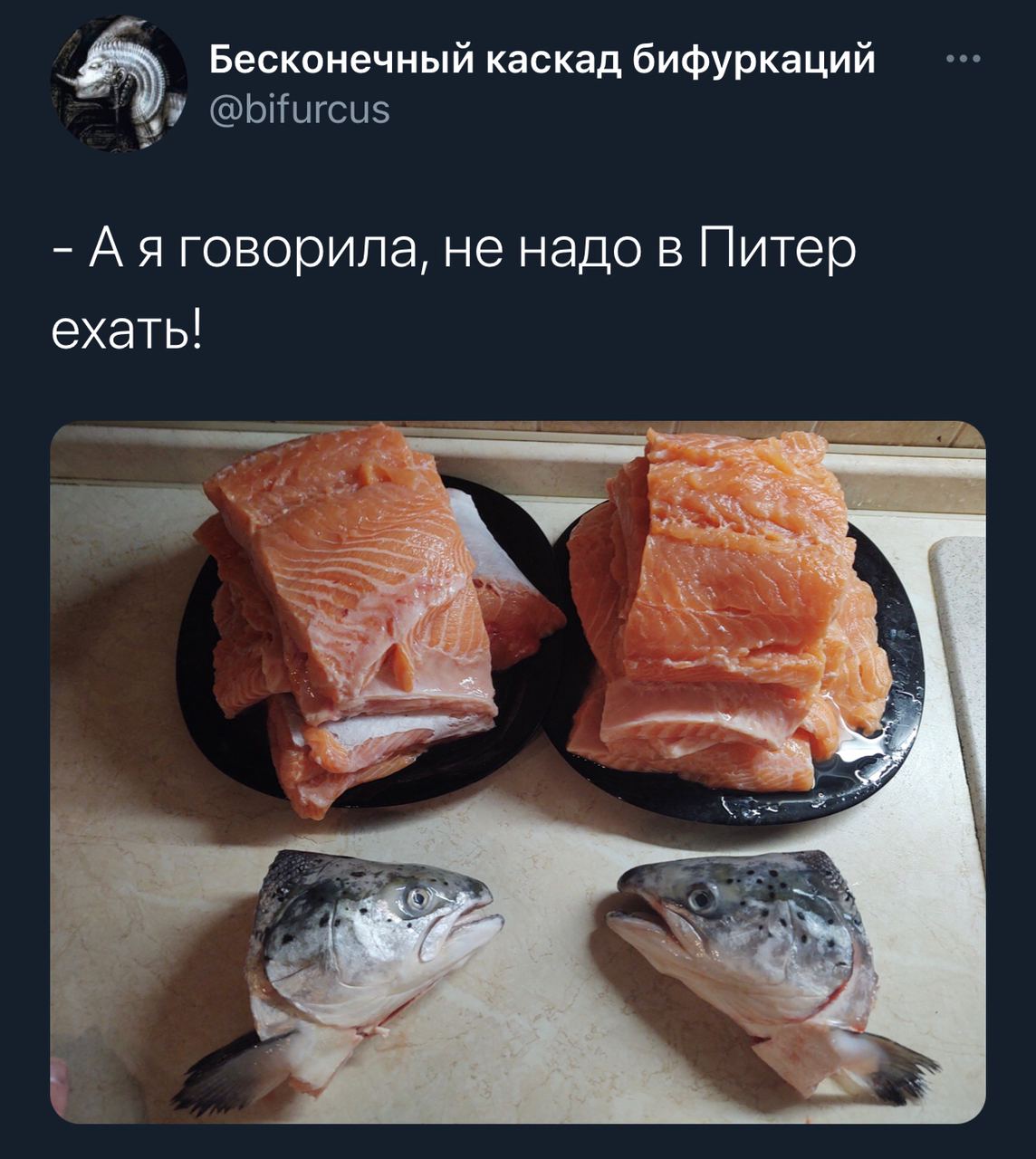 1144x1280, 159 Kb / рыба, Питер, тарелка