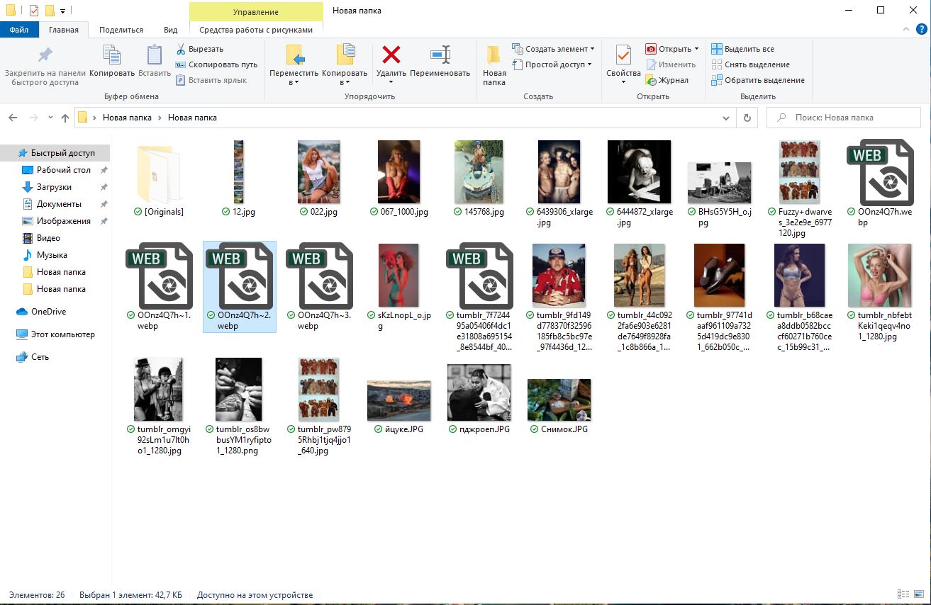 1313x854, 166 Kb / папка, баг, файл, превью