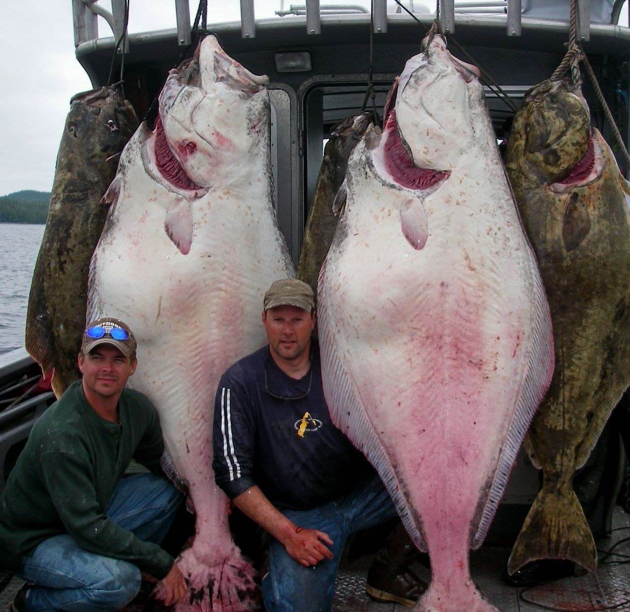 1280x1243, 201 Kb / рыбак, кепка, джинсы, рыбалка, палтус