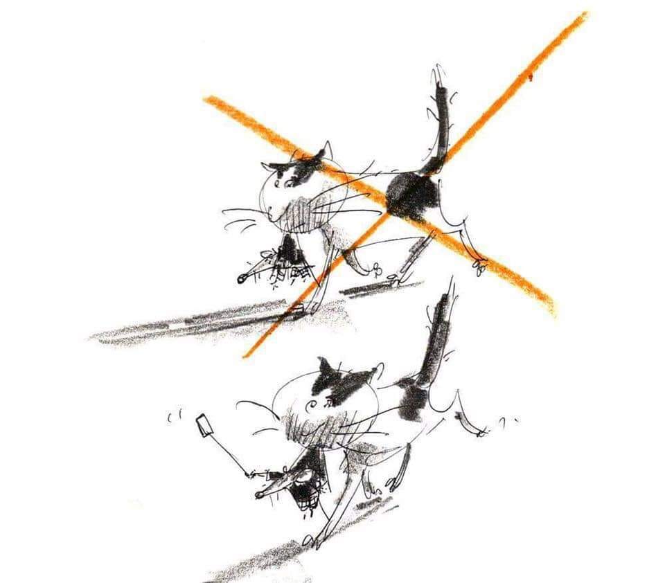 960x842, 45 Kb / кот, мышь, добыча, селфи, Иофик Шмофик