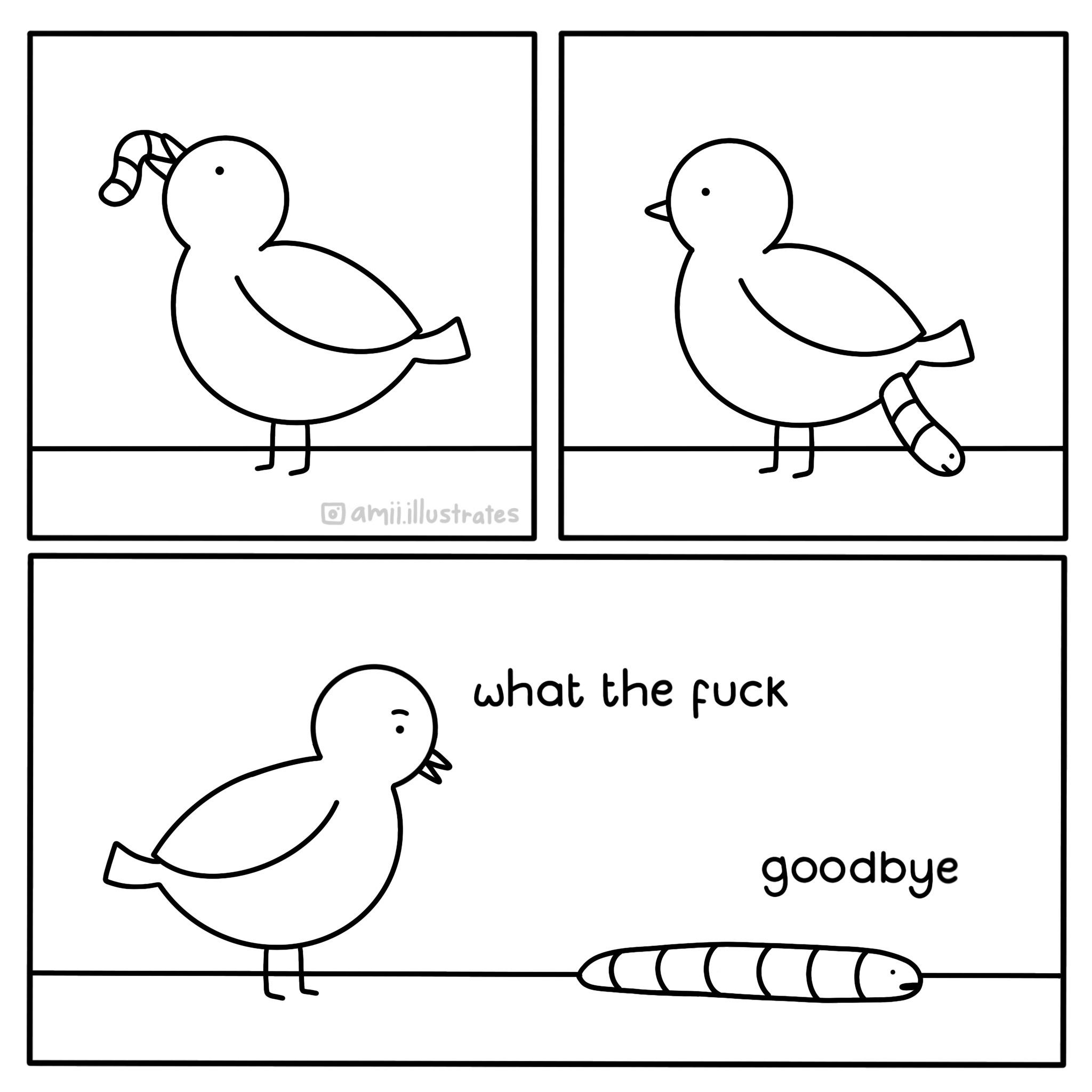 2048x2048, 158 Kb / птица, червь