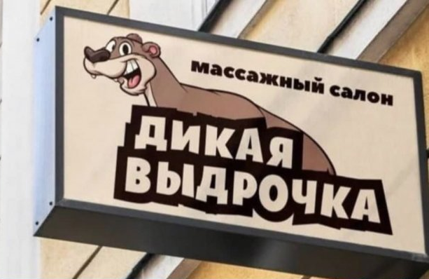 613x398, 388 Kb / вывеска, салон, выдрочка