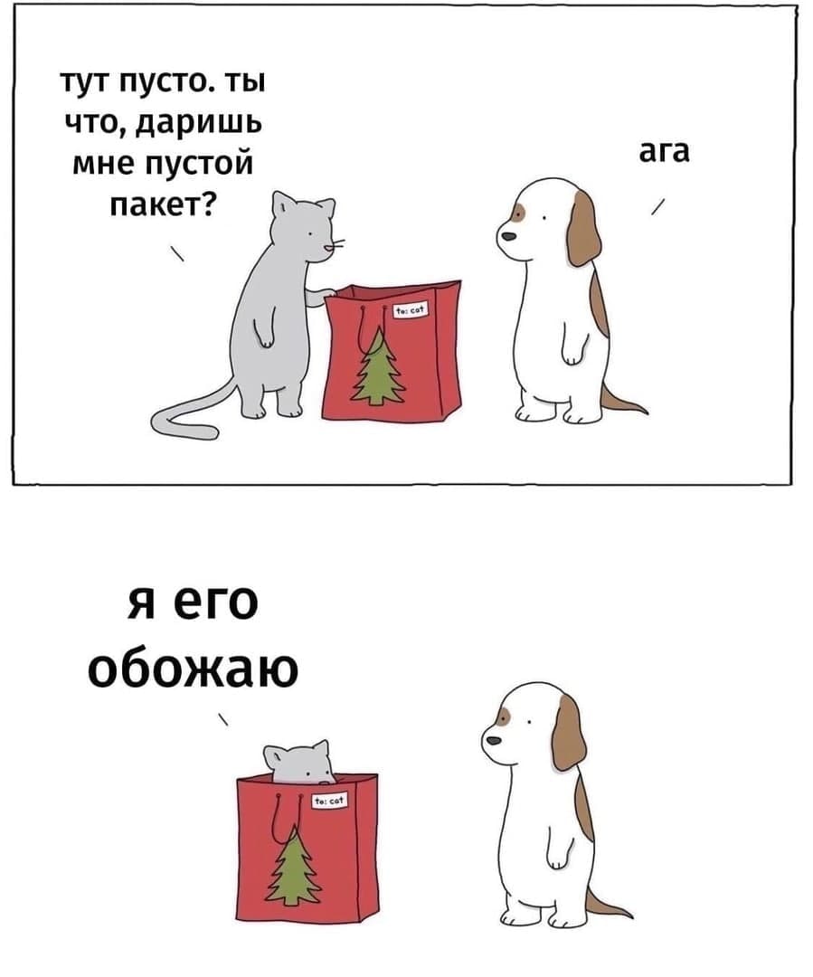 899x1080, 52 Kb / кот, собака, подарок, пустой