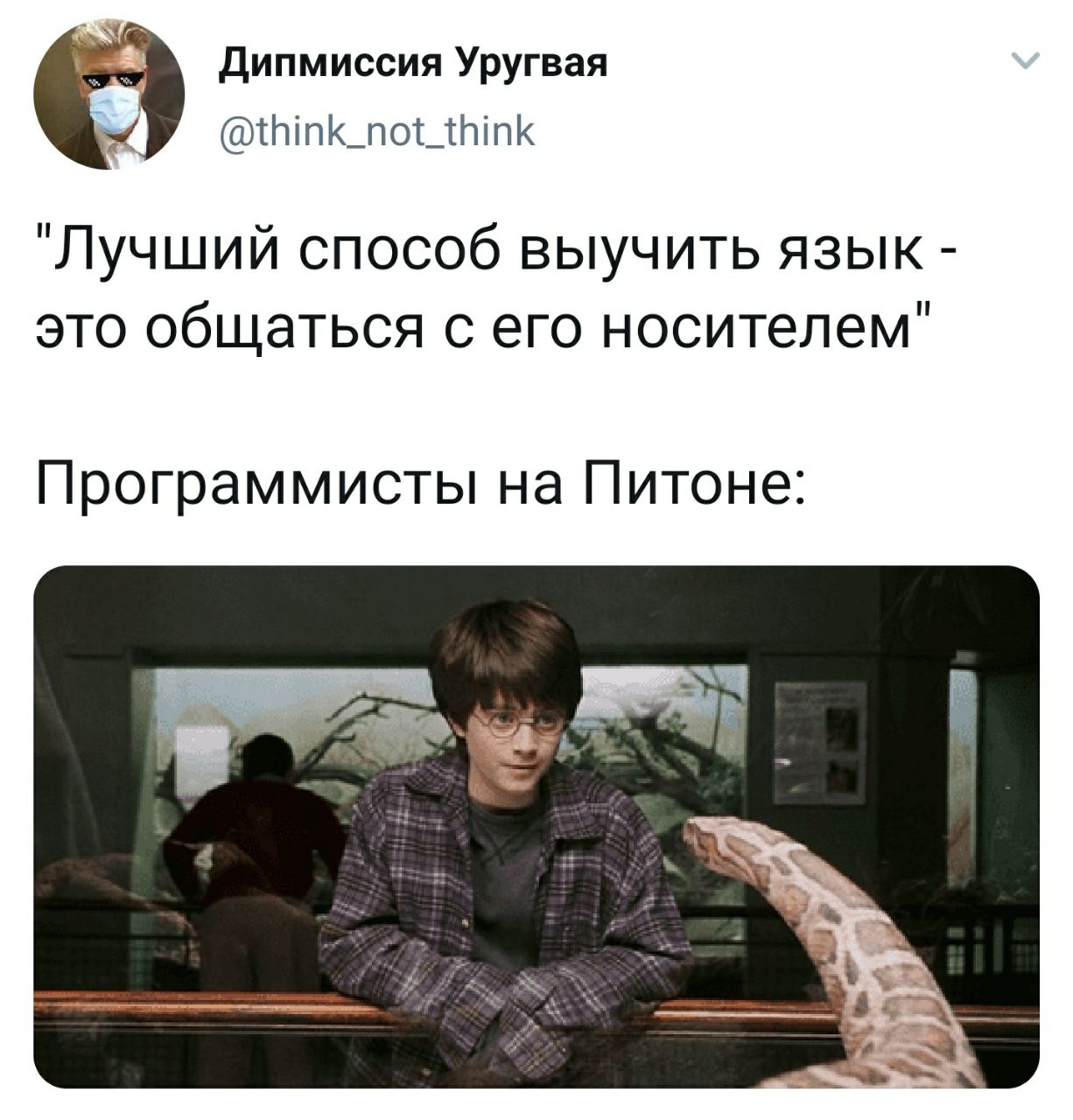 1226x1280, 161 Kb / язык, программисты, питон, Гарри Поттер