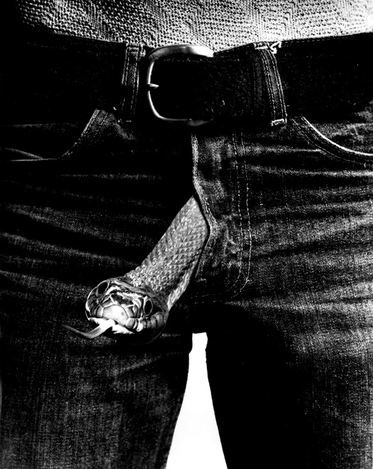 526x660, 147 Kb / ремень, ширинка, змий, ч/б