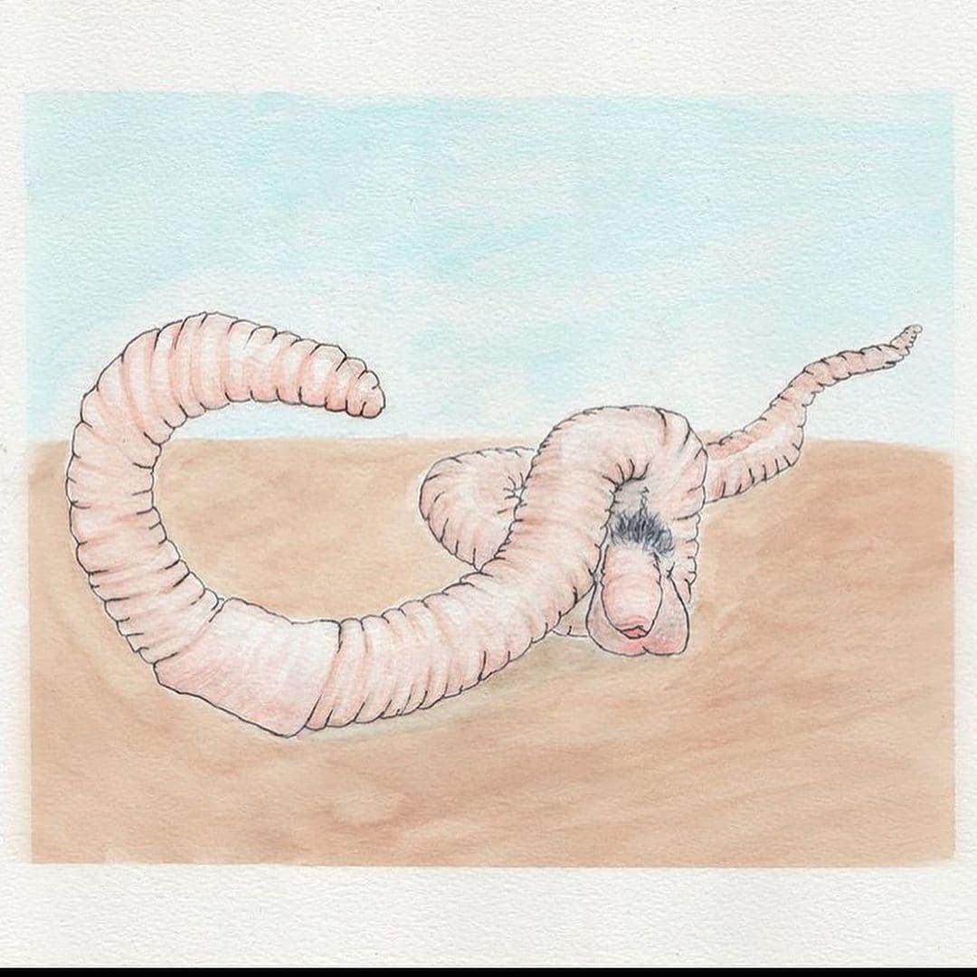 1080x1080, 152 Kb / червь, самец, хуй, рисунок