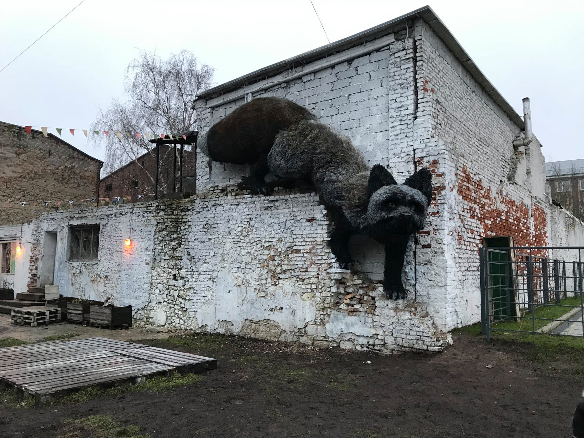 2016x1512, 568 Kb / рига, лиса, стена, дом