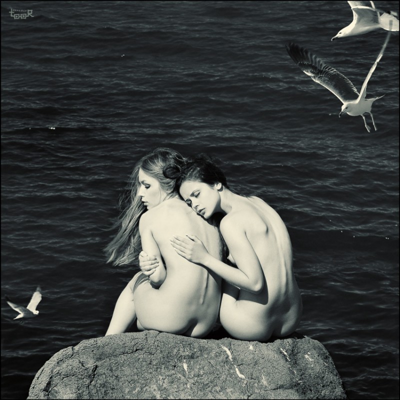 800x800, 145 Kb / женщины, камень, вода, чайки, ч/б, Анатолий Тур