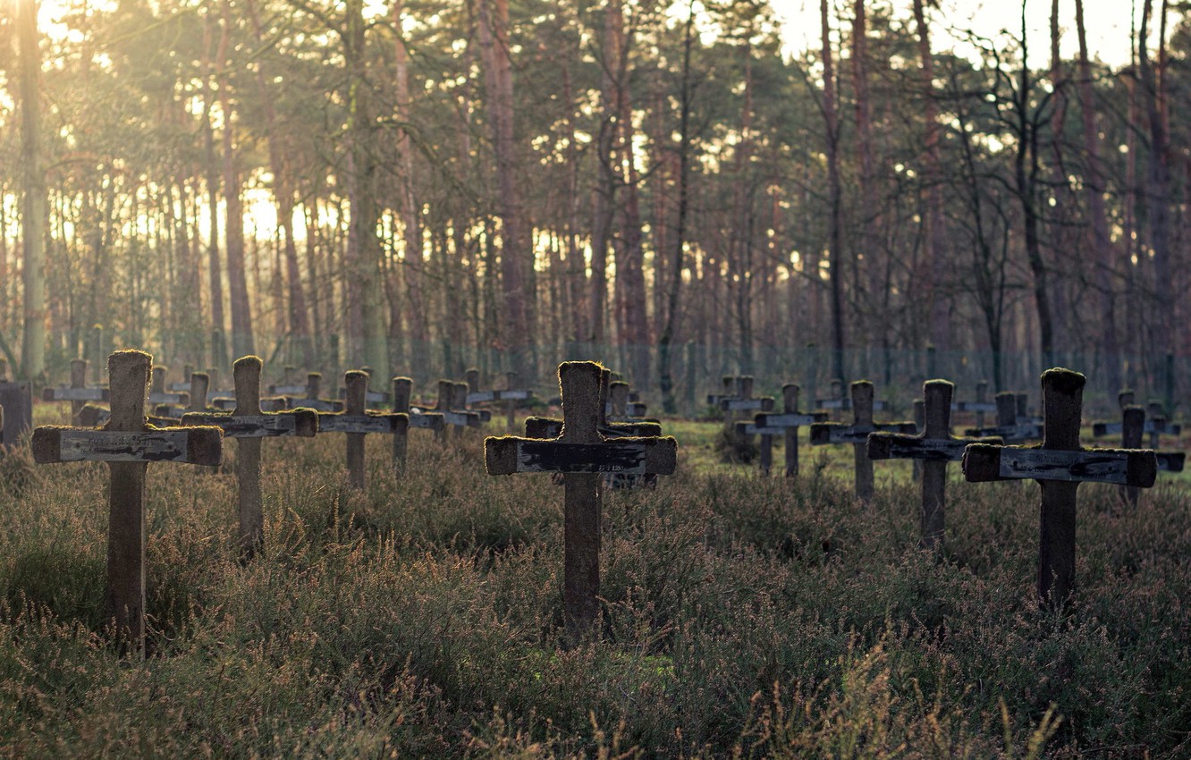 1332x850, 344 Kb / кресты, лес