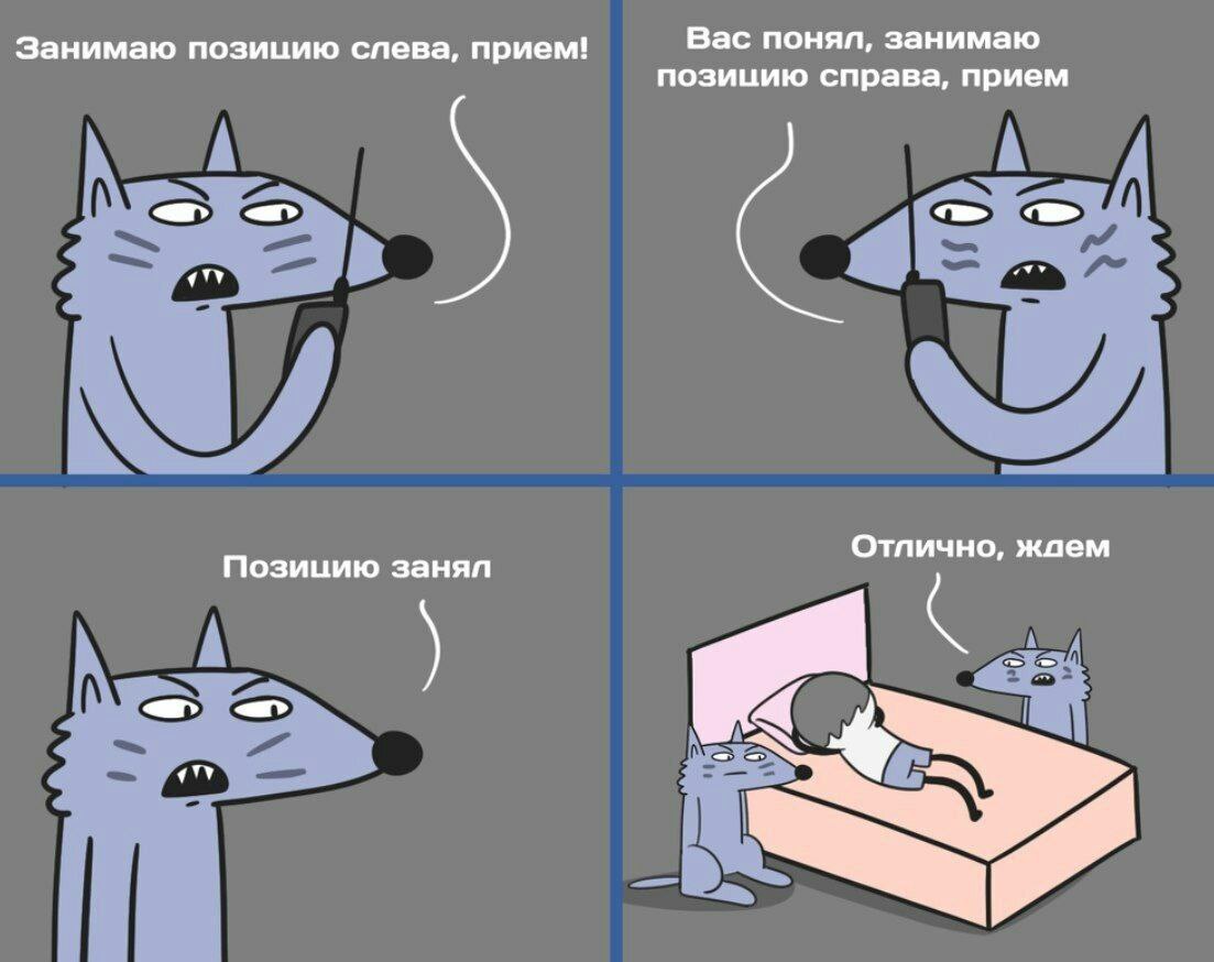 1103x874, 100 Kb / волчек, бочек