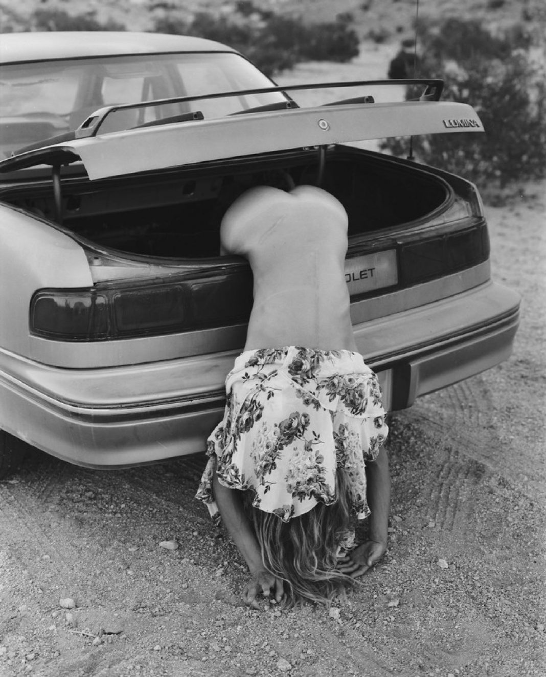 1068x1323, 230 Kb / chevrolet lumina, багажник, девушка