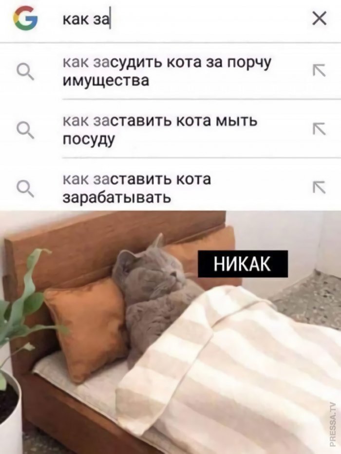 700x932, 66 Kb / кровать, кот, спит, никак