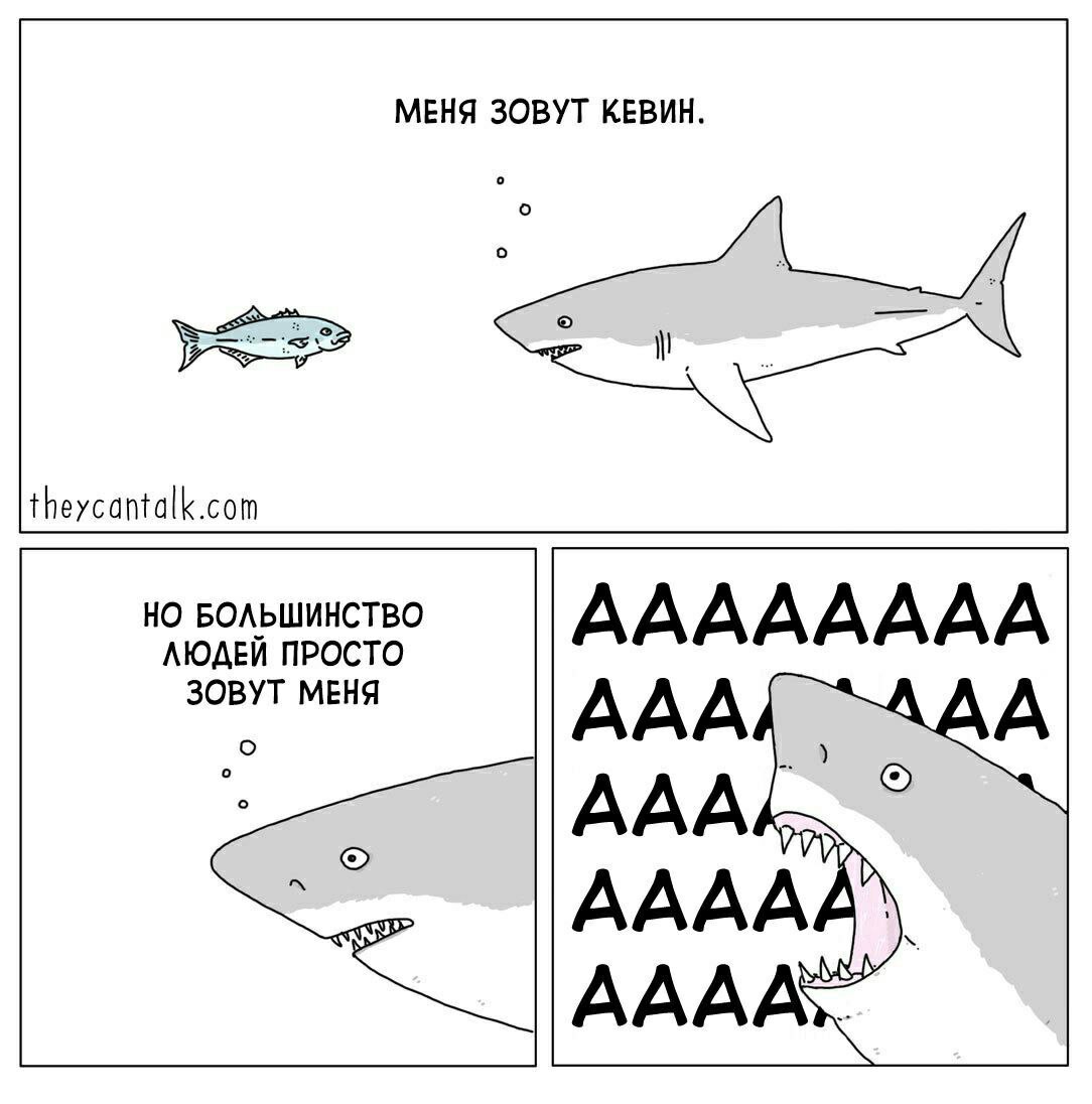 1084x1096, 114 Kb / рыба, акула