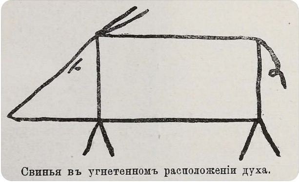 613x373, 34 Kb / ч/б, свинья, схема, угнетение, рисунок