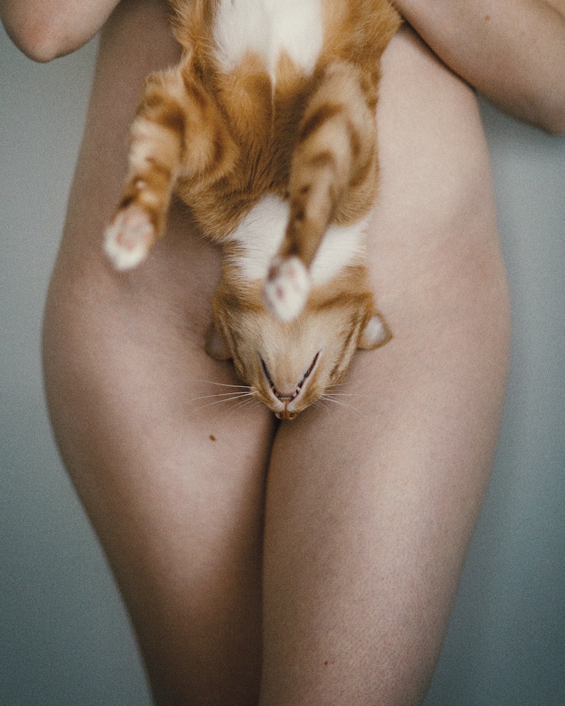 819x1024, 279 Kb / Кот, кошка, вверх тормашками