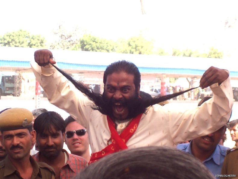 790x593, 63 Kb / кошмар, усы, тараканище