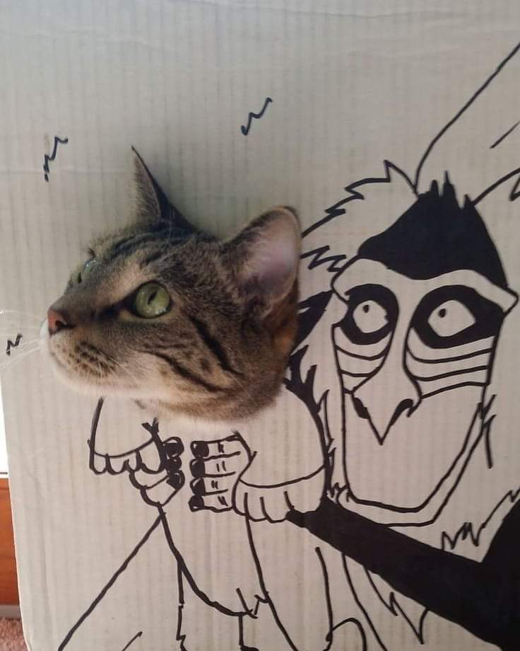 736x920, 51 Kb / Симба, рисунок, кот, мультфильм