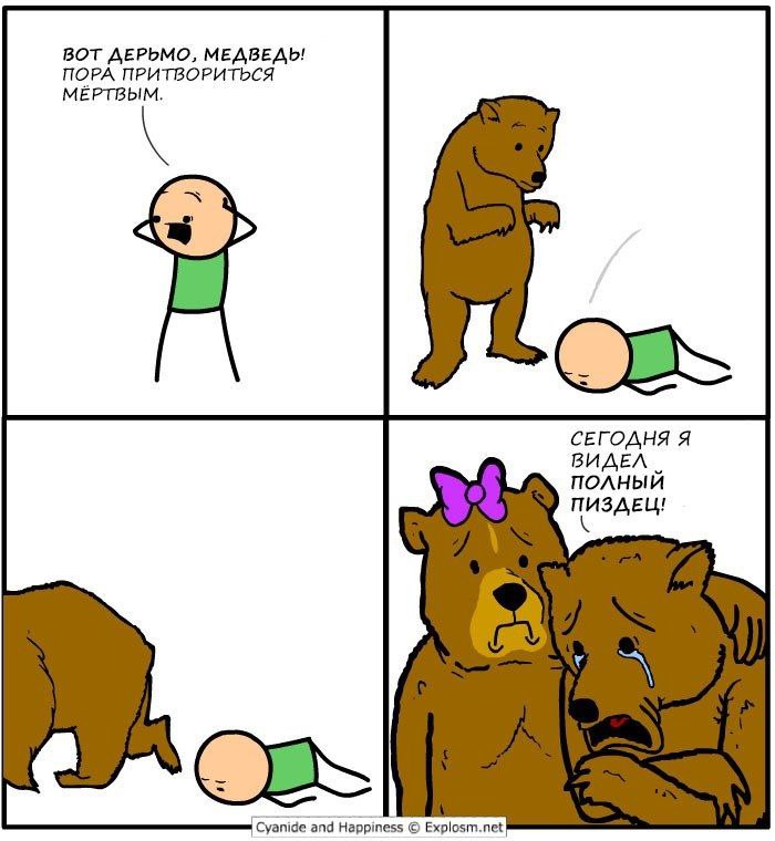 700x760, 85 Kb / медведь, мертвый, пиздец