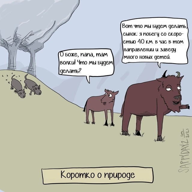 640x640, 60 Kb / волки, бык, папа, теленок