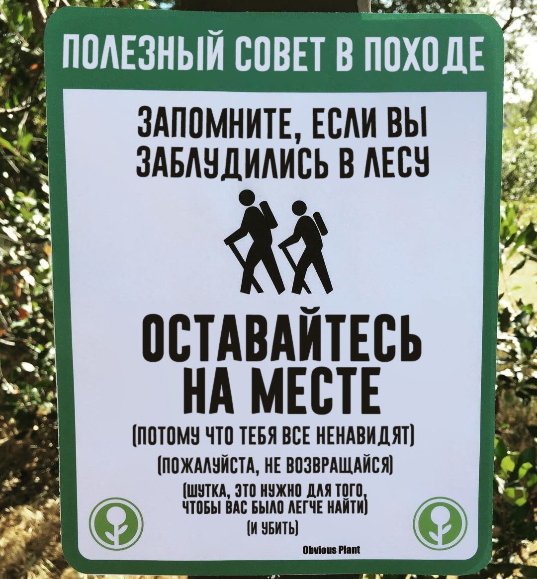 1080x1165, 176 Kb / памятка, совет, лес