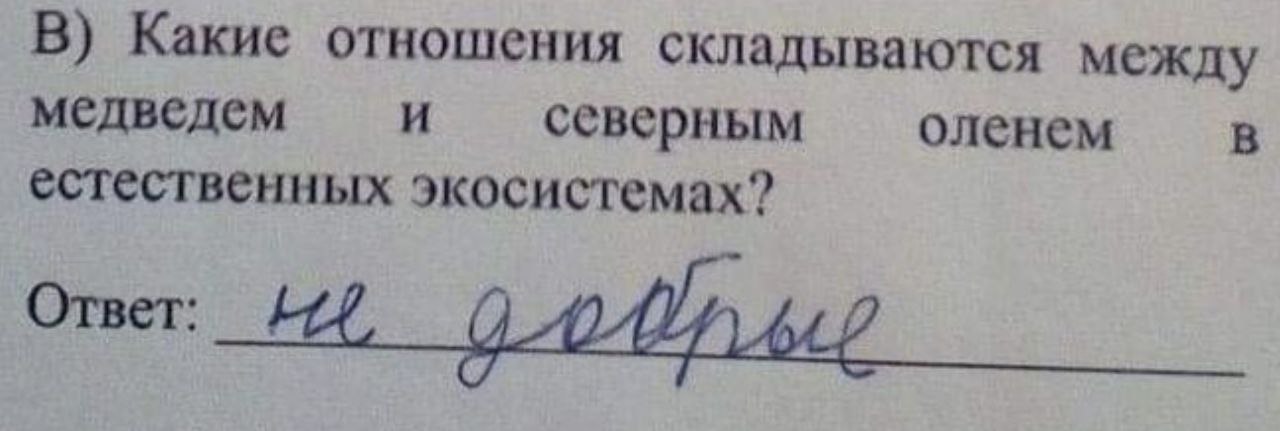 1280x431, 68 Kb / медведь, олень, отношения