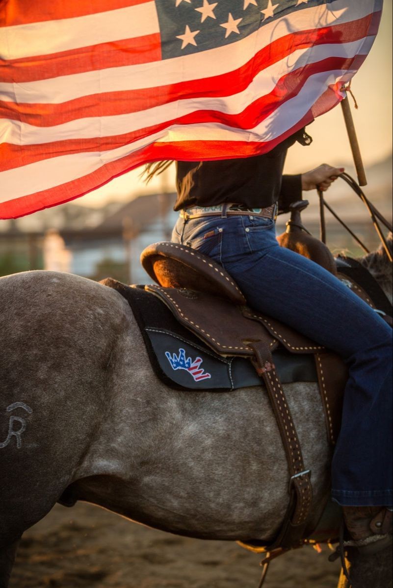 801x1200, 158 Kb / конь, седло, тавро, флаг