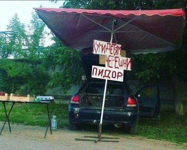 650x522, 102 Kb / авто, зонт, черешня, фотошоп