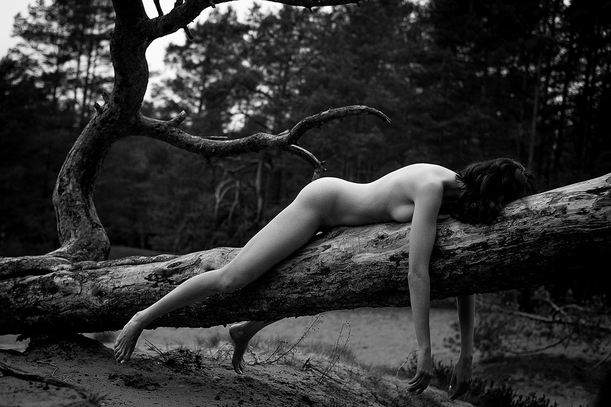 1200x800, 410 Kb / ч/б, дерево, бревно, голая