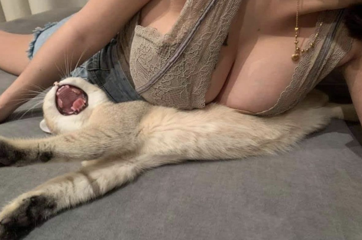 1181x784, 95 Kb / цепочка, шорты, джинсы, декольте