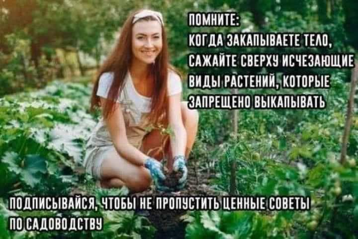 720x481, 608 Kb / Тело, растения