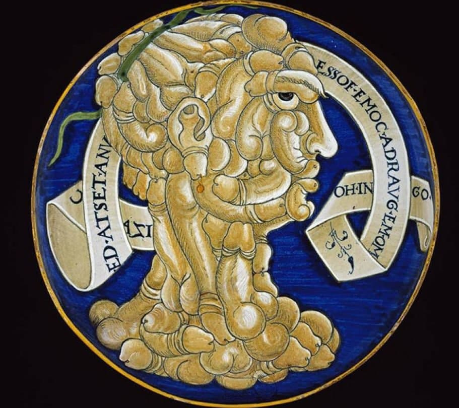 911x810, 96 Kb / голова, члены, профиль, смотрит, неодобрительно