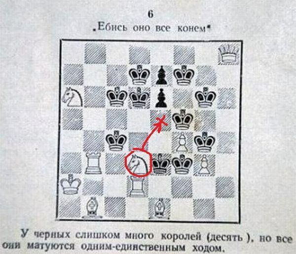 600x515, 72 Kb / шахматы, конь, мат