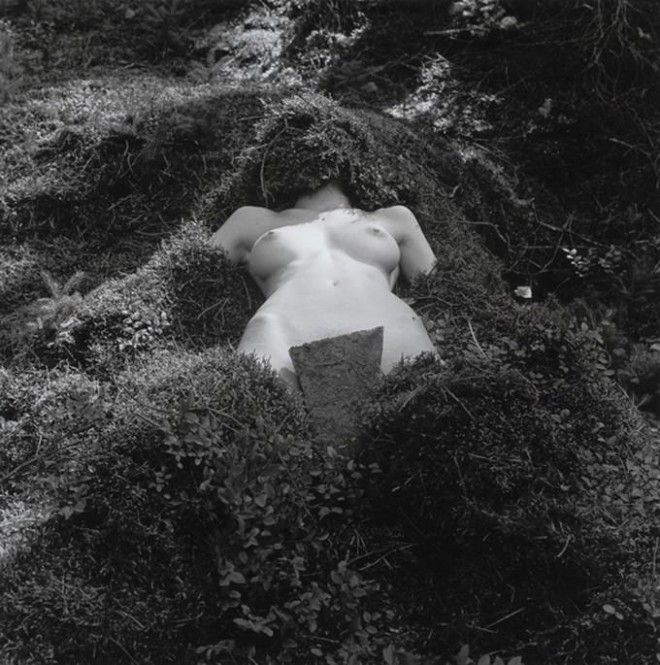 660x665, 87 Kb / женщина, тело, мох, трава, ч/б