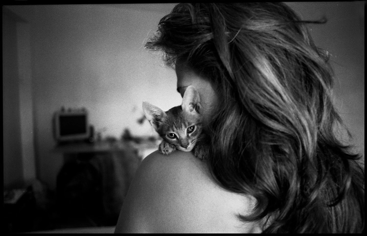 718x462, 124 Kb / кот, ч/б