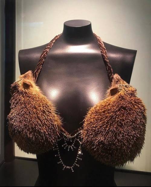 500x619, 46 Kb / ёж, бюстгальтер, манекен