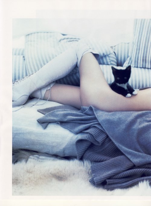 500x679, 46 Kb / ножки, котёнок