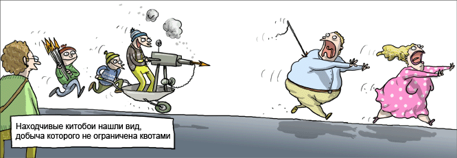 666x230, 41 Kb / китобои