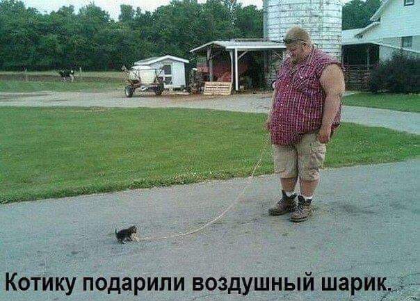 604x433, 46 Kb / Толстяк, шарик, асфальт, веревка