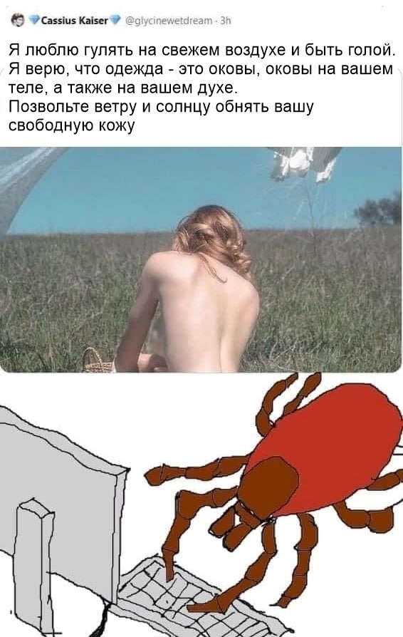 566x894, 88 Kb / клещ, голая, комп